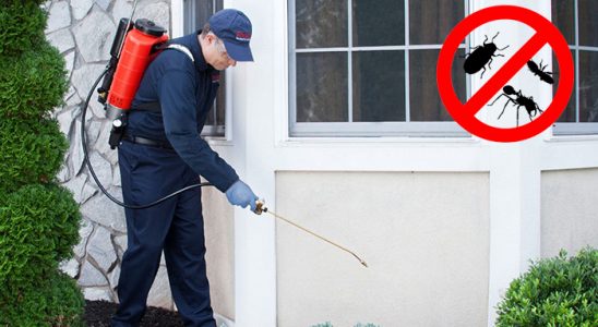 Uluborlu Kemirgen İlaçlama böcek ilaçlama ve haşere kontrolü — ilaclama-tr.com